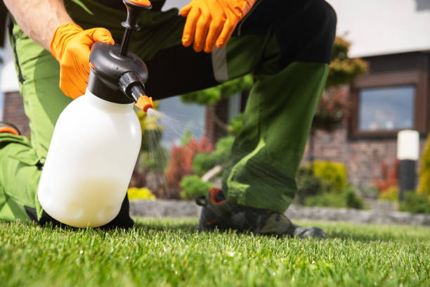 Best Pest Inspection Near Me  in Cana, VA