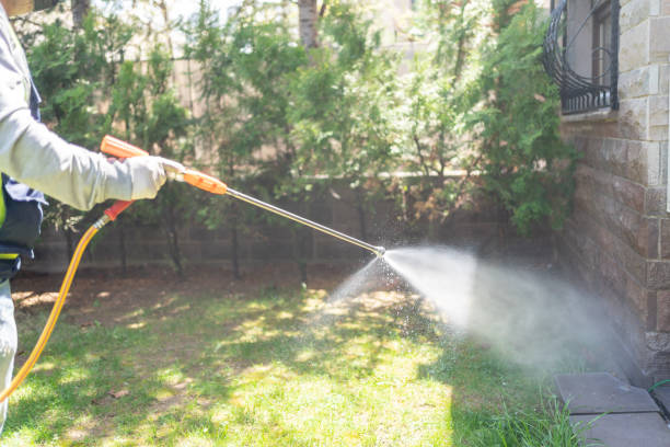Best Best Pest Control Companies  in Cana, VA